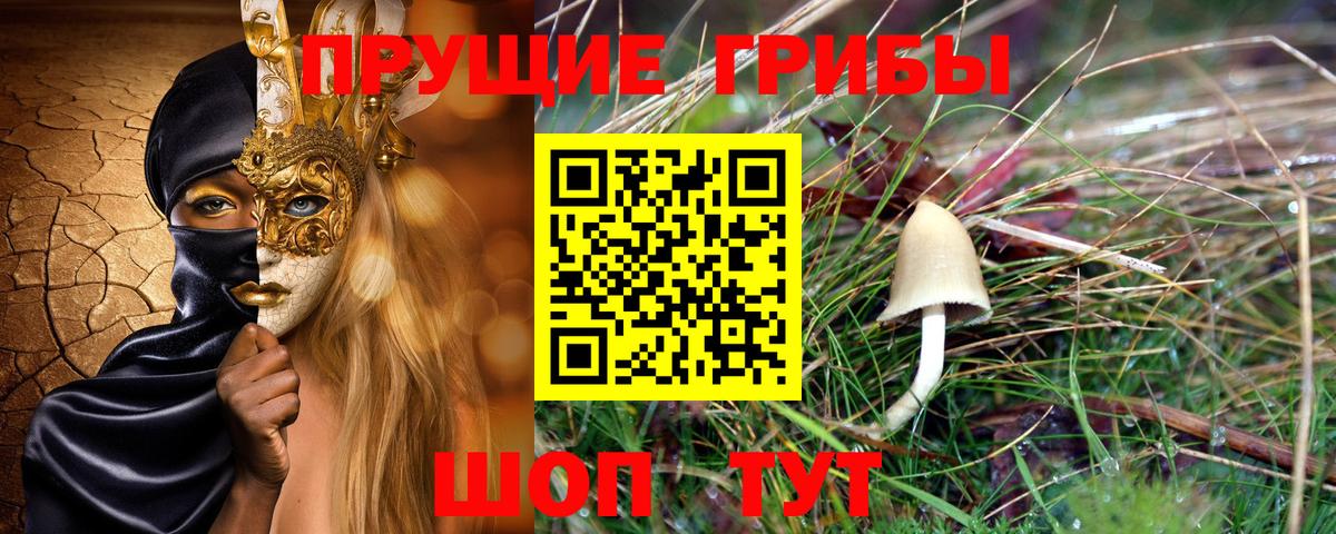 Бузулук  Галлюциногенные грибы Psilocybe  Вход с VPN 